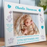 Personalised Baby Boy Photo Frame With Birth Details Elephant