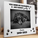 Favourite Hello Hardest Goodbye Memorial Photo Frame For Dog