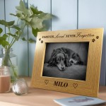 Never Forgotten Pet Memorial Photo Frame Personalised Memorial