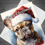 French Bulldog Christmas Card Funny Dog Greetings Card Frenchie