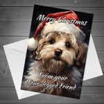 Christmas Card From Dog Cockapoo Funny Dog Greetings Card