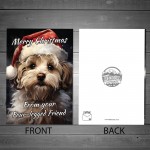 Christmas Card From Dog Cockapoo Funny Dog Greetings Card