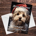 Christmas Card From Dog Cockapoo Funny Dog Greetings Card