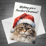 Cat Christmas Card with Envelope Purrfect Greeting Card