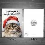 Cat Christmas Card with Envelope Purrfect Greeting Card