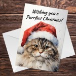 Cat Christmas Card with Envelope Purrfect Greeting Card