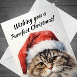 Cat Christmas Card with Envelope Purrfect Greeting Card