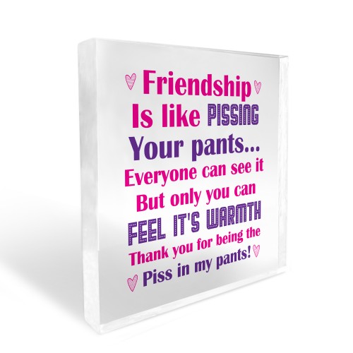 Friendship Funny Gift for Women Best Friends Birthday Gift