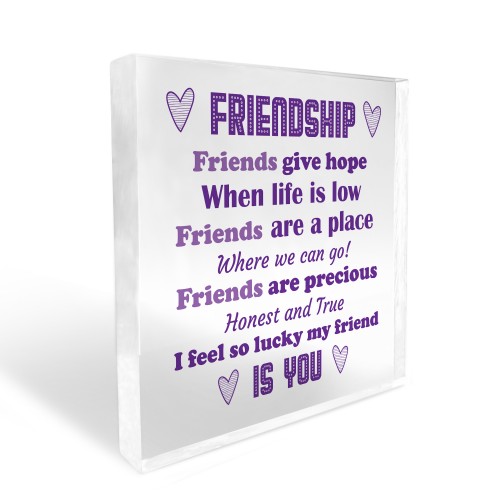 Best Friend Gift For Birthday Christmas Plaque Besties Friend