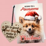 Christmas Card From The Dog Funny Pawesome Pomeranian Christmas