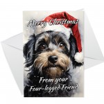 Christmas Gift Set Dog Card Funny Cockapoo Christmas Card