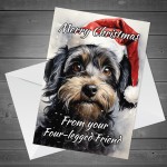 Christmas Gift Set Dog Card Funny Cockapoo Christmas Card