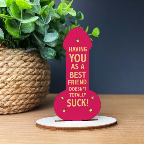 Funny Friendship Best Friend Plaque, Rude Gift For Friends