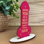 Funny Friendship Best Friend Plaque, Rude Gift For Friends