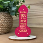 Funny Friendship Best Friend Plaque, Rude Gift For Friends