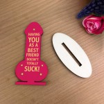 Funny Friendship Best Friend Plaque, Rude Gift For Friends