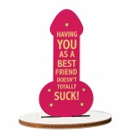 Funny Friendship Best Friend Plaque, Rude Gift For Friends