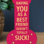 Funny Friendship Best Friend Plaque, Rude Gift For Friends