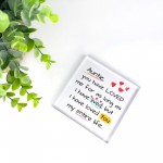 Gift For Auntie Birthday Christmas Acrylic Block Auntie Gifts