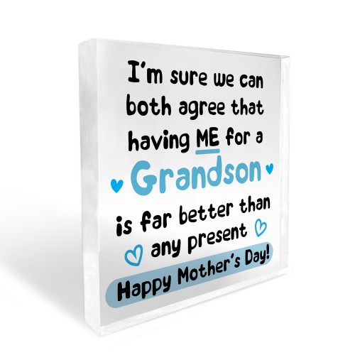 Funny Mothers Day Gift For Nanny Nan Grandma Gift From Grandson