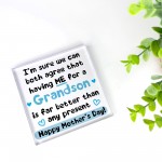 Funny Mothers Day Gift For Nanny Nan Grandma Gift From Grandson