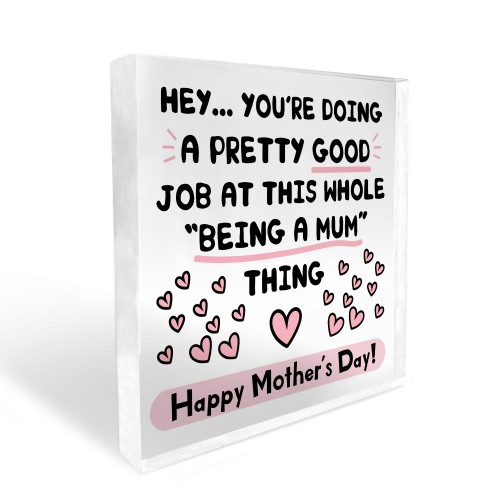 Funny Mothers Day Gift From Daughter Son Joke Mothers Day Gift