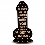 Funny Friendship Plaque Novelty Christmas Rude Birthday Gift