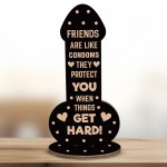 Funny Friendship Plaque Novelty Christmas Rude Birthday Gift