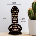 Funny Friendship Plaque Novelty Christmas Rude Birthday Gift