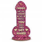 Friendship Plaque Novelty Christmas Funny Rude Birthday Gift