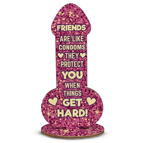 Friendship Plaque Novelty Christmas Funny Rude Birthday Gift