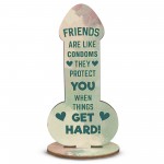 Funny Friendship Plaque Novelty Humour Rude Birthday Gift