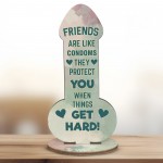 Funny Friendship Plaque Novelty Humour Rude Birthday Gift