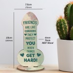 Funny Friendship Plaque Novelty Humour Rude Birthday Gift