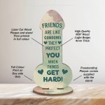 Funny Friendship Plaque Novelty Humour Rude Birthday Gift