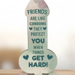 Funny Friendship Plaque Novelty Humour Rude Birthday Gift