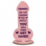 Rude Friendship Plaque Novelty Humour FUNNY Birthday Gift