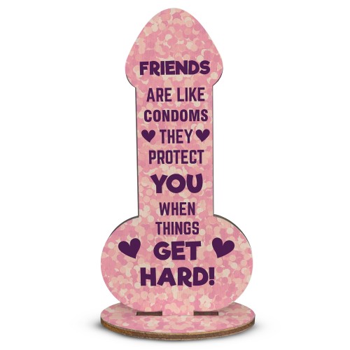 Rude Friendship Plaque Novelty Humour FUNNY Birthday Gift