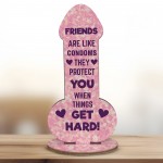 Rude Friendship Plaque Novelty Humour FUNNY Birthday Gift