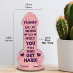 Rude Friendship Plaque Novelty Humour FUNNY Birthday Gift