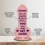 Rude Friendship Plaque Novelty Humour FUNNY Birthday Gift