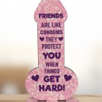 Rude Friendship Plaque Novelty Humour FUNNY Birthday Gift