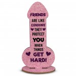 Funny Best Friend Gift Novelty Humour Rude Birthday Gifts