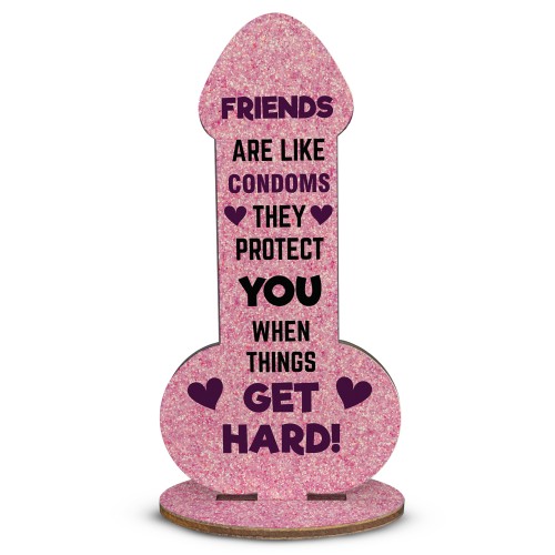 Funny Best Friend Gift Novelty Humour Rude Birthday Gifts