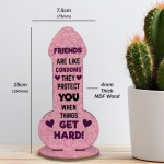 Funny Best Friend Gift Novelty Humour Rude Birthday Gifts