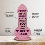 Funny Best Friend Gift Novelty Humour Rude Birthday Gifts