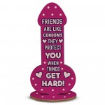 Funny Friendship Plaque Novelty Cheeky Birthday Gift For Friend