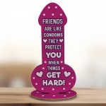 Funny Friendship Plaque Novelty Cheeky Birthday Gift For Friend