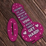 Funny Friendship Plaque Novelty Cheeky Birthday Gift For Friend