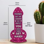 Funny Friendship Plaque Novelty Cheeky Birthday Gift For Friend